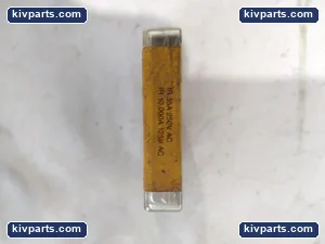 Bussmann AC Glass Ferrule Fuse – actual item, photo 2 of 3