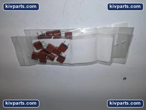 3961315044 TE5 Time Lag Fuse – actual item, photo 2 of 3