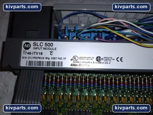 Allen-Bradley 1746-ITV16 SLC500 Input Module – actual item, photo 2 of 6
