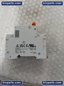 Phoenix Contact 1019997 Terminal Block – actual item, photo 3 of 6