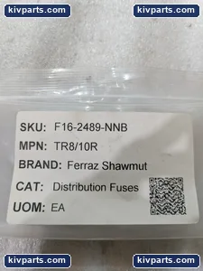 Mersen TR8/10R Fuse – actual item, photo 2 of 6