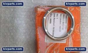 Plant 4551763168 Gasket – actual item, photo 3 of 4