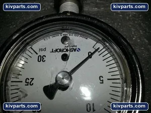 Ashcroft Duralife Stainless – actual item, photo 2 of 2