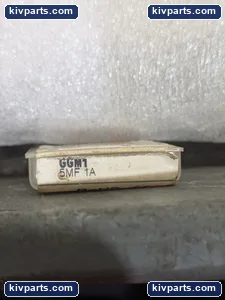 Mersen GGM1Y1015080 Acting Fuse – actual item, photo 2 of 5