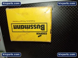 Bussmann FNQ-R-3/10 Class CC Time Delay Fuse – actual item, photo 3 of 4