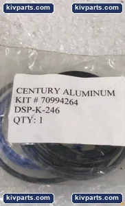 Century DSP-K-246 Cylinder Seal – actual item, photo 4 of 4