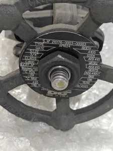 Douglas Chero R253WS/TS Forged Steel Gate Valve
