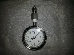 Ashcroft Duralife Stainless
