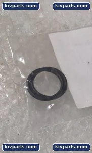 Imai S1000048 O-Ring Set Black Control Valve – actual item, photo 3 of 4