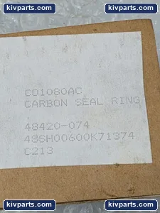 CO1080AC Ring Graphite Mechanical Pump – actual item, photo 3 of 4