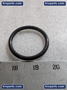 345-0604 Abrasive Trap Gasket – actual item, photo 2 of 3