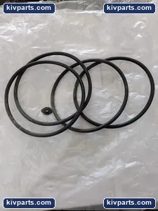 Graco 158378 Buna-N O-Ring Packing Seal – actual item, photo 2 of 3