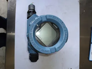 Rosemount 705XD1D115WA3WN1M5 Wireless Totalizing Transmitter