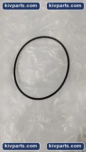 OPW OPH010 O-Ring Fuel Dispenser Valve Seal – actual item, photo 2 of 3