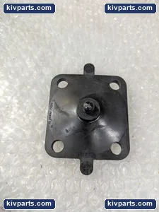 Newman NSD-25-RX-E1-S FDA USP Class VI Valve – actual item, photo 5 of 6