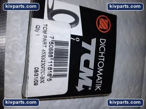 45X62X9TC-BX Dichtomatik TCM – actual item, photo 6 of 7