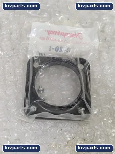 EGS 250PL-2-10-21-VAI/EQSD Control Valve – actual item, photo 4 of 7