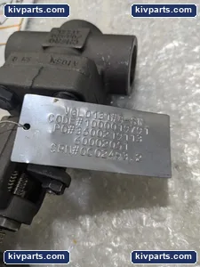 Douglas Chero R354 Forged Steel Globe Valve – actual item, photo 3 of 7