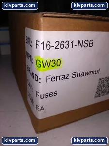 Mersen GW30 G214895 Fuse – actual item, photo 3 of 4