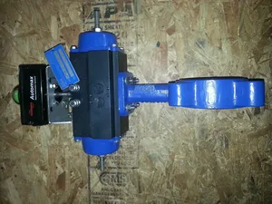 Flowserve XNWS2AAU2M114 Deltorq 75 Pneumatic Actuator