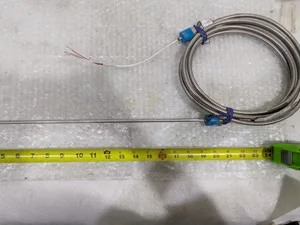 Sandelius PT100 100 Ohm RTD Temperature Probe