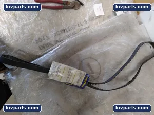 Goodyear 750H100 Timing Belt – actual item, photo 2 of 4