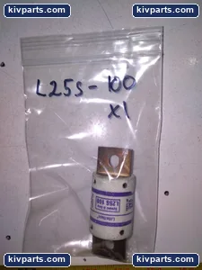 Littelfuse L25S 100 Fuse – actual item, photo 3 of 3