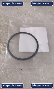 Regal Beloit 2304970 Powerlign Gear Coupling – actual item, photo 2 of 3