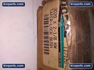 Dodge 3020 Taper-Lock Bush – actual item, photo 2 of 3