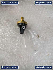 B76054 Switch Brass Body Spade Terminal – actual item, photo 2 of 8