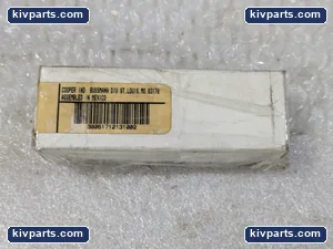 Bussmann LKN-100 Super Lag Renewal Fuse – actual item, photo 2 of 4