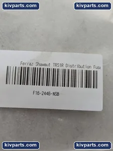 Mersen TRS1R Class RK5 Time Delay Fuse – actual item, photo 2 of 8