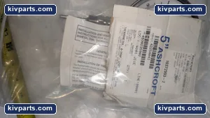 50CI60L025 Ashccroft 10372993-2 – actual item, photo 4 of 6
