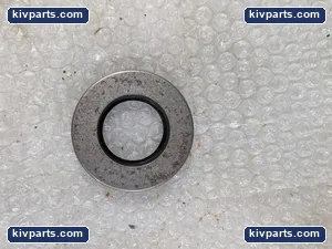 Garlock 63X0667 Oil Seal – actual item, photo 2 of 4