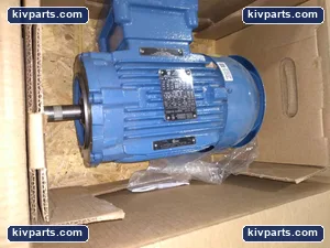 WEG 00118XT3ER143TC NEMA Premium – actual item, photo 4 of 5