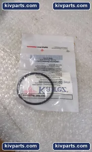 DuPont Kalrez BOP-MAIN-1A007F Seal – actual item, photo 4 of 5