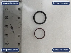 Animatics SM17205D American High Performance Seals – actual item, photo 2 of 4