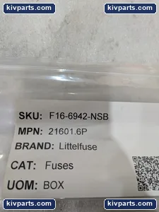 Littelfuse Slow-Blow Fuse – actual item, photo 2 of 6