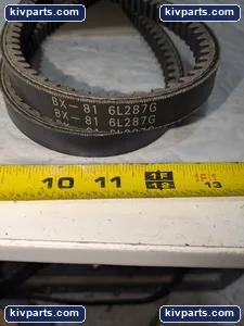 Dayton 6L287G Premium Belt – actual item, photo 3 of 4