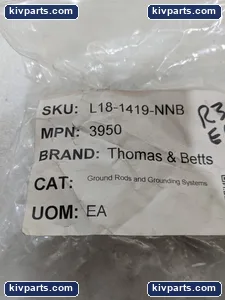 Thomas Belts – actual item, photo 2 of 9