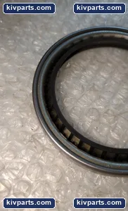 Pat B2E-S 21086-2297 Klozure Oil Seal – actual item, photo 2 of 4
