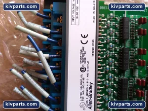 Allen-Bradley 1746-IB16 SLC 500 DC Input Module – actual item, photo 9 of 10