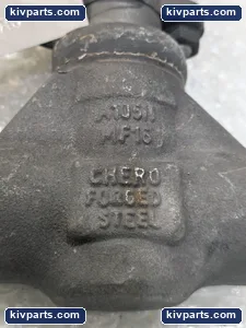 Douglas Chero R253WS/TS Forged Steel Gate Valve – actual item, photo 4 of 5