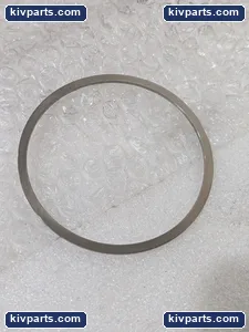 BW 664746DB Seal – actual item, photo 5 of 6