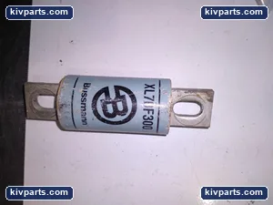 Bussmann XL70F300 Fuse – actual item, photo 2 of 4
