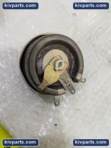 Ohmite RLS10K Resistor – actual item, photo 2 of 6