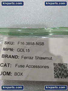 Mersen GDL15 Fuse – actual item, photo 2 of 11