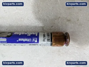 Littelfuse FLSR4ID RK5 Time Delay Indicating Fuse – actual item, photo 2 of 9