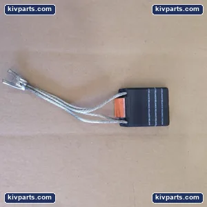 RE41YL Carbon Electric Motor – actual item, photo 3 of 4