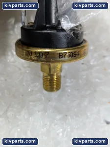 B76054 Switch Brass Body Spade Terminal – actual item, photo 3 of 8